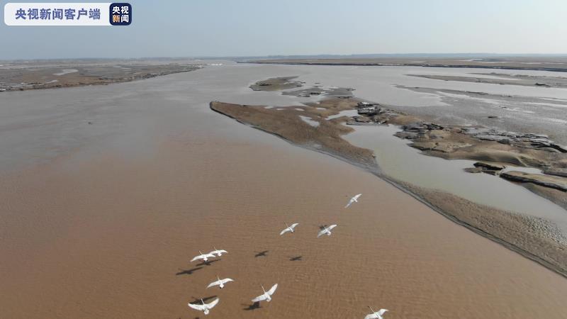 严上加严 河南制定黄河流域水污染物排放标准