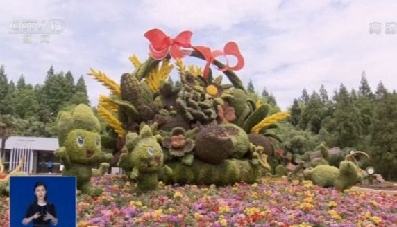 奇花 异草 珍木 第十届花博会等你来打卡 奇花 异草 珍木 第十届花博会等你来打卡