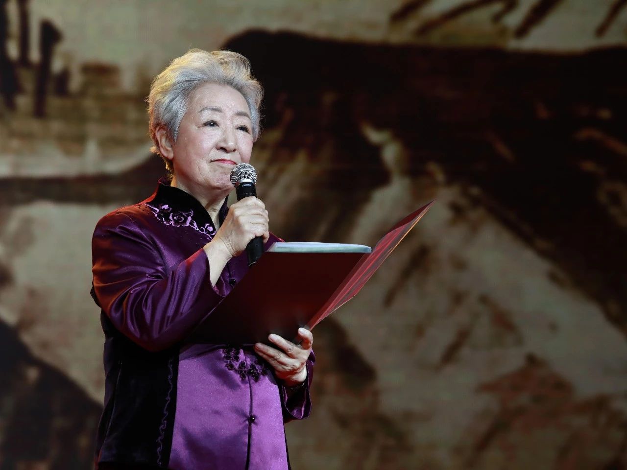 的经典段落中央广播电视总台国广播音员段纯中央广播电视总台央视主持