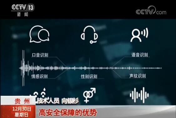技术人员 向银杉:声纹识别谁在说话,语音识别说了什么内容.