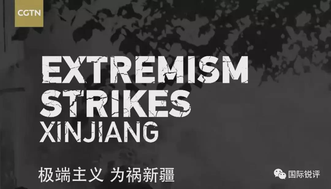 图片来自cgtn纪录片 中国新疆,反恐前沿