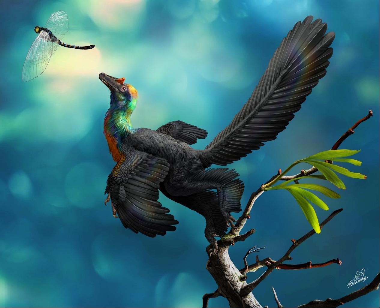 2018年度中国古生物学十大进展评选结果发布(图)