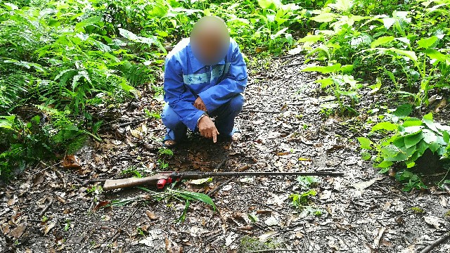 村民非法持枪狩猎 一头野猪换来三年徒刑