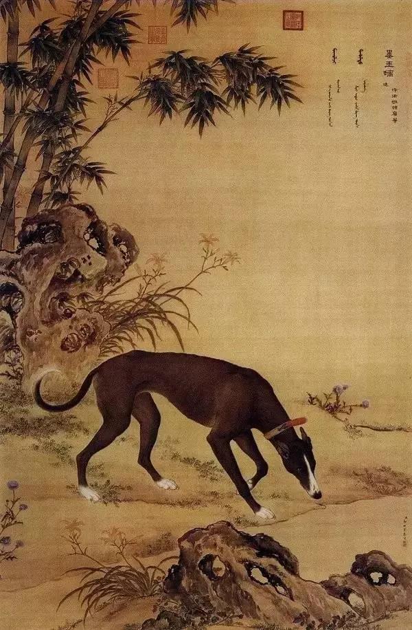 郎世宁的《十犬图》
