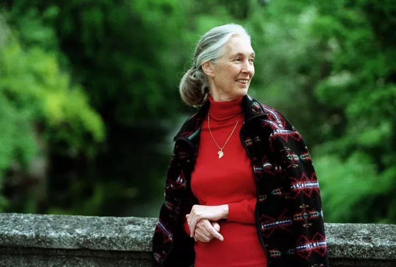 夜读英国动物学家亮相朗读者我们生而为人生而为众生