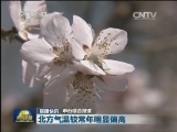 国内联播快讯