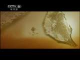 海峡往事 1集