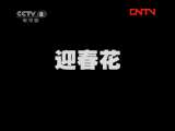 迎春花 16集