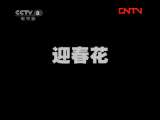 迎春花 15集