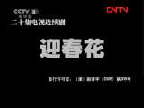 迎春花 19集