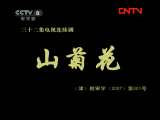山菊花 32集