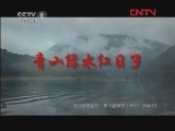 青山绿水红日子 11集