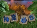 神奇山谷 89集