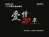 爱情二十年 13集