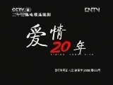 爱情二十年 15集