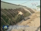 准格尔旗：设专项基金 帮百姓增收