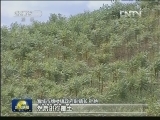 辽宁：生态修复还碧水蓝天