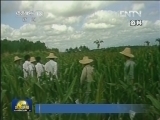【十八大代表风采录】农民出身的育种专家李登海