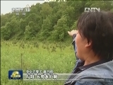 【走基层·我这十年】“金司令”：我的“战场”在荒山