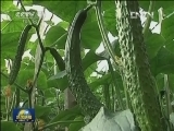 低温严寒天气持续影响多地
