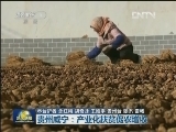 贵州威宁：产业化扶贫促农增收
