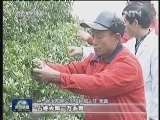 【2013年中国经济展望】新生活驱动新经济