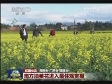 国内联播快讯