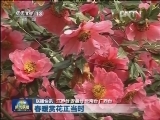 国内联播快讯