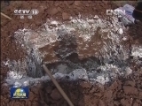 四川：五块钱让养猪大省死猪无害化
