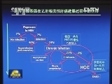 我国科学家发现乙肝癌变关键风险基因