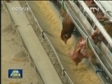 关注H7N9禽流感疫情