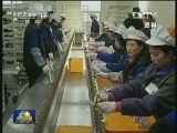 朝鲜称开城工业园区可能不复存在