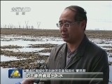 抗春涝保粮仓