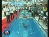 国内联播快讯