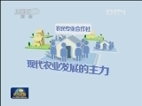 【经济转型进行时】现代农业助力农业结构转型升级