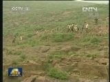 德耀中华 刘吉传：举债建水库 为村民造福