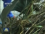【走基层 在岗位上】烈日下的沙滩守护者