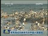 国内联播快讯