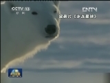 国际联播快讯