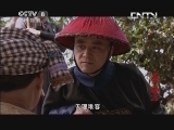 茶颂 25集