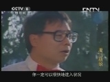 厦门新娘 30集