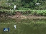 【寻找最美乡村医生】罗成敏：竹筏上的生命线