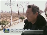 这是一份体面的收入：上海松江农民抢地种的背后