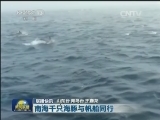 国内联播快讯