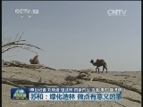 苏和：绿化造林 做点有意义的事
