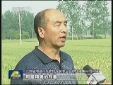 夏粮近五年来长势最好 丰收在望