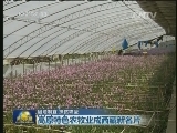 因地制宜 扶贫攻坚