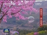 开放式报尾 惊蛰