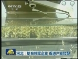 河北：培育领军企业 促进产业转型