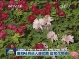 国内联播快讯